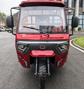 Distributeur mondial J7 recherché : Tricycle cargo à essence 2025, le plus vendu, avec moteur 200CC refroidi par eau, 3 roues - Product Image 1