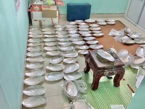 Bandeja de joyería de lujo para decoraciones de Ramadán, placa de concha decorativa para madre de perla, placa de cargador de Ramadán Mubarak, fábrica de Vietnam - Product Image 2