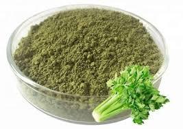 POUDRE VERTE CÉLERI PUR - Product Image 5