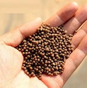 Phosphate de diammonium (DAP) de qualité supérieure, standard 18-46-0, engrais hydrosoluble pour l'agriculture, disponible à la vente à prix avantageux. - Product Image 5