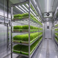 Grand conteneur vertical intelligent pour la culture de légumes, usine de culture hydroponique automatisée, couvercle en acier inoxydable 304 pour la laitue
