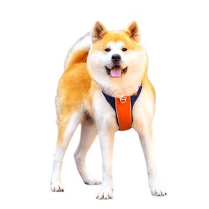 Arnés Ajustable para Perro de Nailon, Estilo Chaleco, Diseño Táctico con Cierre de Hebilla para Perros Medianos, Todas las Estaciones, Azul y Naranja - Product Image 4