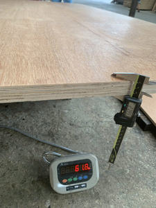 KEGO Vietnam contreplaqué standard de haute qualité 28MM IICL 100% noyau d'eucalyptus 6000N capacité de charge utile pour panneau de revêtement de sol en conteneur - Product Image 3