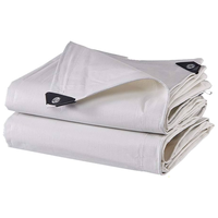 Offre Spéciale 100% bâche imperméable de haute qualité de couverture de camion bâche transparente résistante 10x10 bâche de PE de tente Protection UV