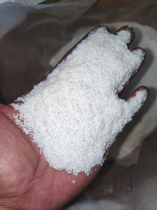 Noix de coco desséchée de qualité supérieure de qualité alimentaire du Vietnam, haute et faible en gras, prix d'exportation en vrac - Product Image 5