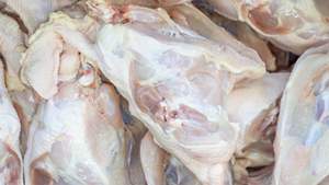 Carcasse de poulet congelée et morceaux d'os de dos prêts pour la découpe et la transformation de viande de volaille congelée en vrac pour les acheteurs internationaux - Product Image 3