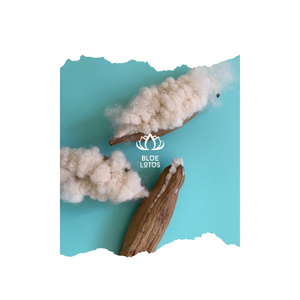 เส้นใยนุ่น-ราคาดีที่สุดคุณภาพสูง - Product Image 1