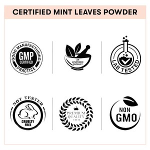 ผงใบสะระแหน่แห้ง | สารสกัดจากผงสะระแหน่ใบสะระแหน่ | ผงสกัดจากใบสะระแหน่ผง - Product Image 5