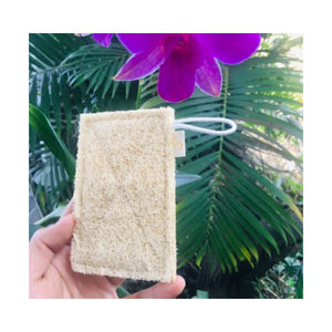 100% ใยบวบธรรมชาติคุณภาพสูงจากเวียดนาม - Product Image 6