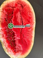 Graines hybrides de pastèque Dragon F1 de haute qualité, pureté 99,9 %, germination 85 %, origine Pakistan