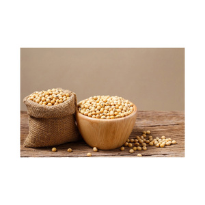 Soja biologique OGM et sans OGM style séché en vrac exporté par les vendeurs en gros - Product Image 6