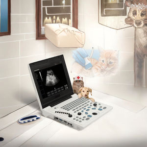 동물 임신 휴대용 초음파 스캐너 고급 컬러 도플러 초음파 기기 애완동물 클리닉용 - Product Image 3