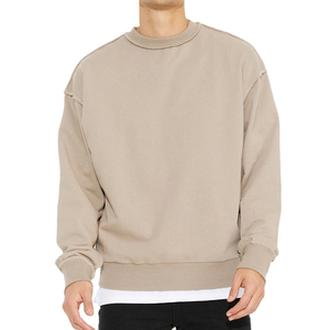 Sweat-shirt à capuche pour homme en coton biologique, coupe décontractée, col rond, impression personnalisée, broderie en relief, motif uni, automne, vente en gros - Product Image 1