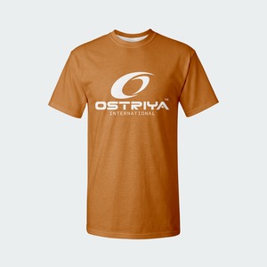 เสื้อยืดผู้ชายดีไซน์มืออาชีพ คอลเลคชั่นใหม่ปี 2026 แห้งเร็ว ระบายอากาศดี ไม่หดตัว ผ้าฝ้าย 100% 180 กรัม ทรงปกติ คอกลม - Product Image 5