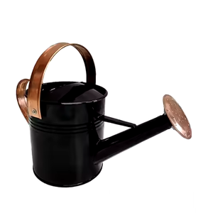 Regadera de colores a granel, precio barato, superventa, regadera duradera con forma redonda, accesorio de jardín moderno, tendencia superior - Product Image 4