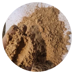 VENTE EN GROS POUDRE DE JOSS JIGAT/POUDRE DE TABU/POUDRE DE JOSS AVEC UN STANDARD ÉLEVÉ - Product Image 4