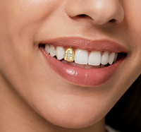 Grillz dentaire individuel style Hip Hop, serti de zircone cubique 5A, forme bouclier croix, en cuivre plaqué or 14K, bijou