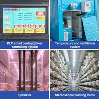 Ferme hydroponique verticale en conteneur d'expédition aéroponique pour la culture de la laitue, des champignons et du safran avec électricité solaire