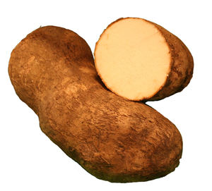 Organic Fresh Yams Alta calidad Delicious Healthy White 25cm Francia - Product Image 2