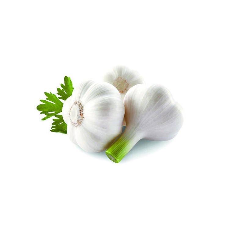 Fresh garlic Chinese New Crop Supply Garlic Normal White And Pure White From Wholesale Garlic Manufacturer