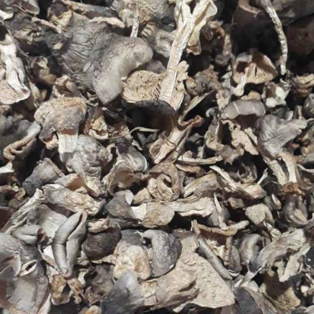 RICH in NUTRIRIENT DRIED STRAW MUSHROOM - High Quality Product From Vietnam - Agricultural Products Rich in Nutrients