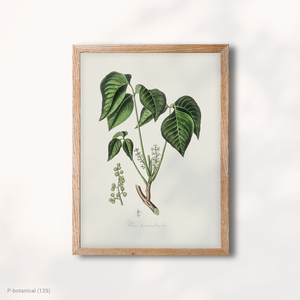 ภาพพิมพ์บนผ้าใบลายพืชป่าสไตล์โมเดิร์น พร้อมกรอบไม้ ตกแต่งบ้านด้วยธรรมชาติ - Product Image 1