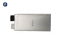 Baterai Lithium-ion Polymer 3.7V 2.5C 48000mAh Isi Ulang Daya Tinggi