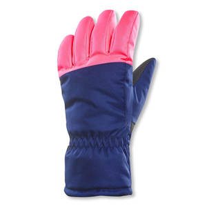 Gants de ski de haute qualité imperméables coupe-vent chauds respirants pour l'hiver, la randonnée, le snowboard, le ski pour hommes et femmes - Product Image 2