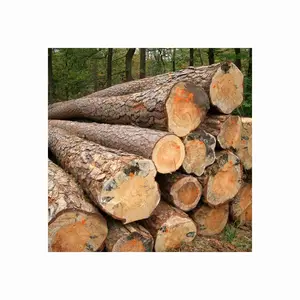 批发松木/橡木/桦木木材/木材价格便宜