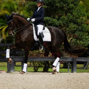 Tapis de selle anglais matelassé respirant doublure douce et confortable soutien durable pour l'entraînement et la compétition des chevaux - Product Image 5