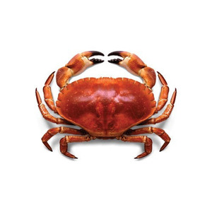 Global Seafood Supplier / Frozen <b>Crab</b> Seafood Bulk Supply - Product Image 4