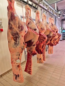 Oferta Especial: Grasa de Cola de Cordero/Oveja Halal Congelada IQF, Sin Grasas Trans, Paquete a Granel - Product Image 1