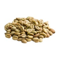 Café Vert Robusta PHALCO de Haute Qualité Grade 1 Tamis 16/18 Vietnam Meilleur Prix Prêt à l'Exportation en Sac de Jute - Product Image 3