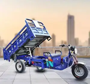 Vélo électrique Cargo Scooter véhicule de transport vélo Adulto Tricycle de traction fabriqué en Chine