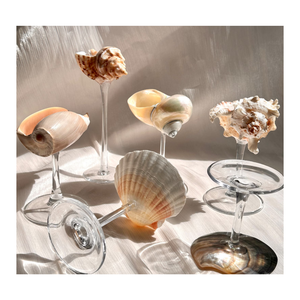 Elegante taza de vidrio con diseño de concha marina para bebidas utilizadas en restaurantes, bares, cafeterías y tiendas de regalos costeras - Product Image 1