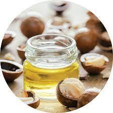 Usine de fabricant en gros d'huile de support de noix de Kukui 100% huile de support de noix de Kukui de qualité supérieure pure et naturelle d'Inde - Product Image 5