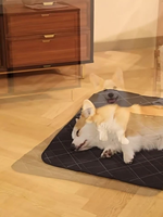 Imperméable Oxford Pet Sleep Mat Chien Chat Lit Pad Carré De Refroidissement Tapis De Sol Anti Pipi Résistant Aux Rayures Facile Lavage En Gros