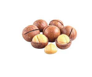 QUALITÉ SUPÉRIEURE Saveur Douce Main Squeeze Yummy Snack Fruit Wholesale Supply Coquille SÉCHÉE de haute qualité Noix de MACADAMIA en 500g - Product Image 3