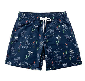 Último estilo famoso 2024 calidad hombres pantalones cortos Logo verano nadar secado rápido hombres impreso doble capa playa pantalones cortos OEM transpirable - Product Image 1