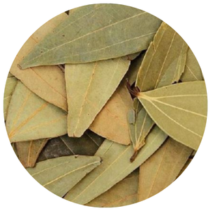 Daun kayu manis Vietnam (Cinnamomum cassia) diekspor dalam jumlah besar