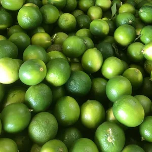 ベトナム産のフレッシュグリーンレモンライム