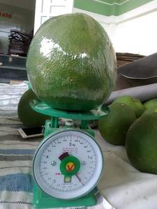 Bưởi <span class=keywords><strong>Ruby</strong></span> tươi cao cấp bưởi đông lạnh với vị ngọt - Product Image 3