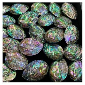 Exquisita concha de abulón para diseño de joyería, manualidades creativas, decoración e ideas de estilo para el hogar - Product Image 1