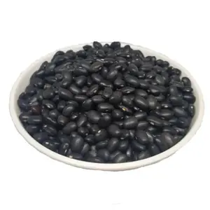 Venta al por mayor grandes frijoles negros moteados alta calidad púrpura negro frijol riñón