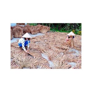 ดอกผักตบชวาแห้ง-วัสดุที่ผลิตในประเทศเวียดนามผลิตภัณฑ์ฟาร์มดอกบัวสีน้ำเงินผลิตภัณฑ์ที่เป็นมิตรกับสิ่งแวดล้อมราคาดีที่สุดในเวียดนาม - Product Image 3