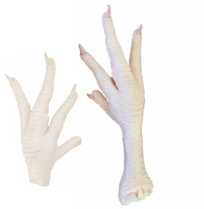 Patas de Pollo Halal al por Mayor / Patas de Pollo Congeladas de Brasil / Alas y Patas de Pollo Frescas - Product Image 2