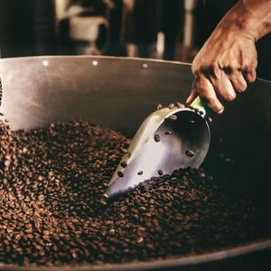 Café moulu torréfié biologique d'Arabica du Vietnam, certifié biologique USDA, marque TNFOOD, qualité G1/G2, durée de conservation de 24 mois, export en vrac - Product Image 1