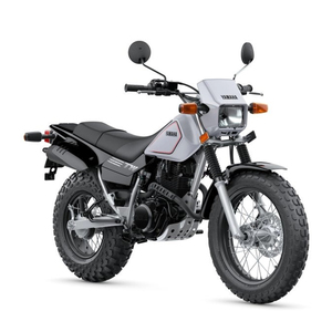 2024 Yamahaa TW 200 - Product Image 1
