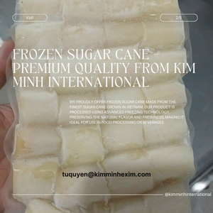 Caña de azúcar congelada IQF de alta calidad de Vietnam sabor dulce envasado al vacío a granel categoría de producto de fruta congelada - Product Image 2