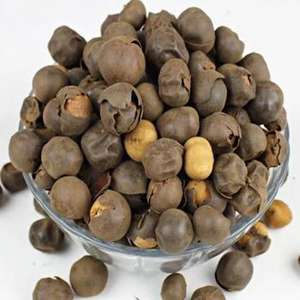 อะโฟโรสติแร็กซ์ลีไพโดฟิลลัส - Product Image 3